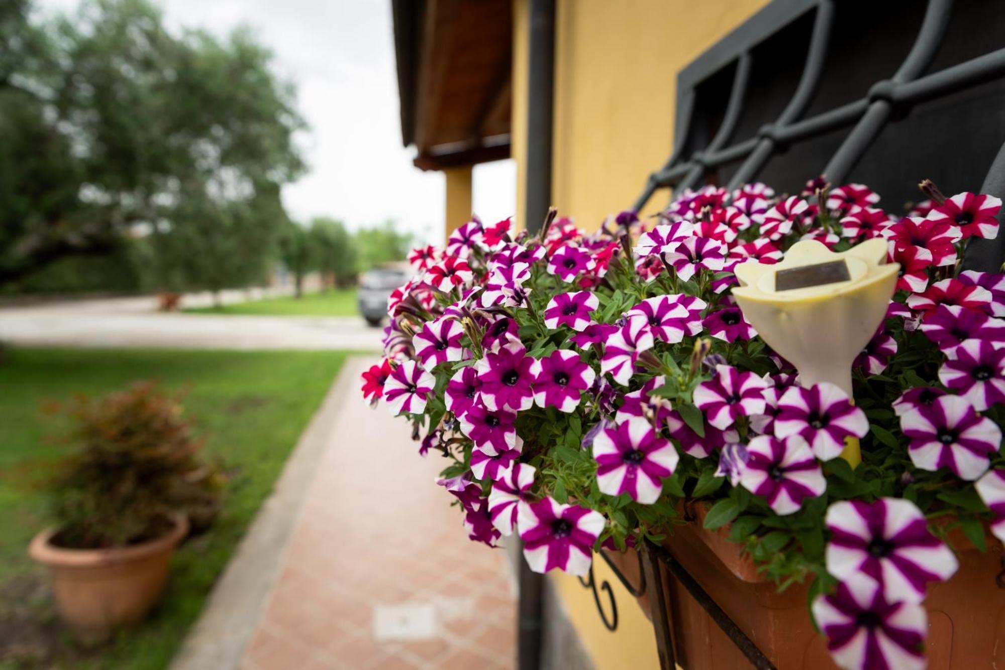 L'Antico Vigneto Hotel Марино Екстериор снимка