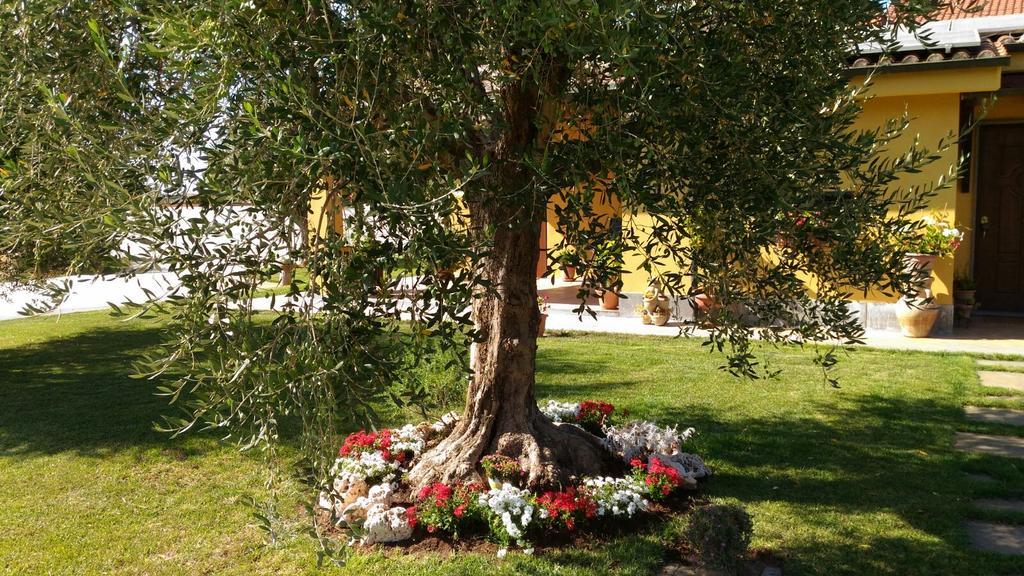L'Antico Vigneto Hotel Марино Екстериор снимка