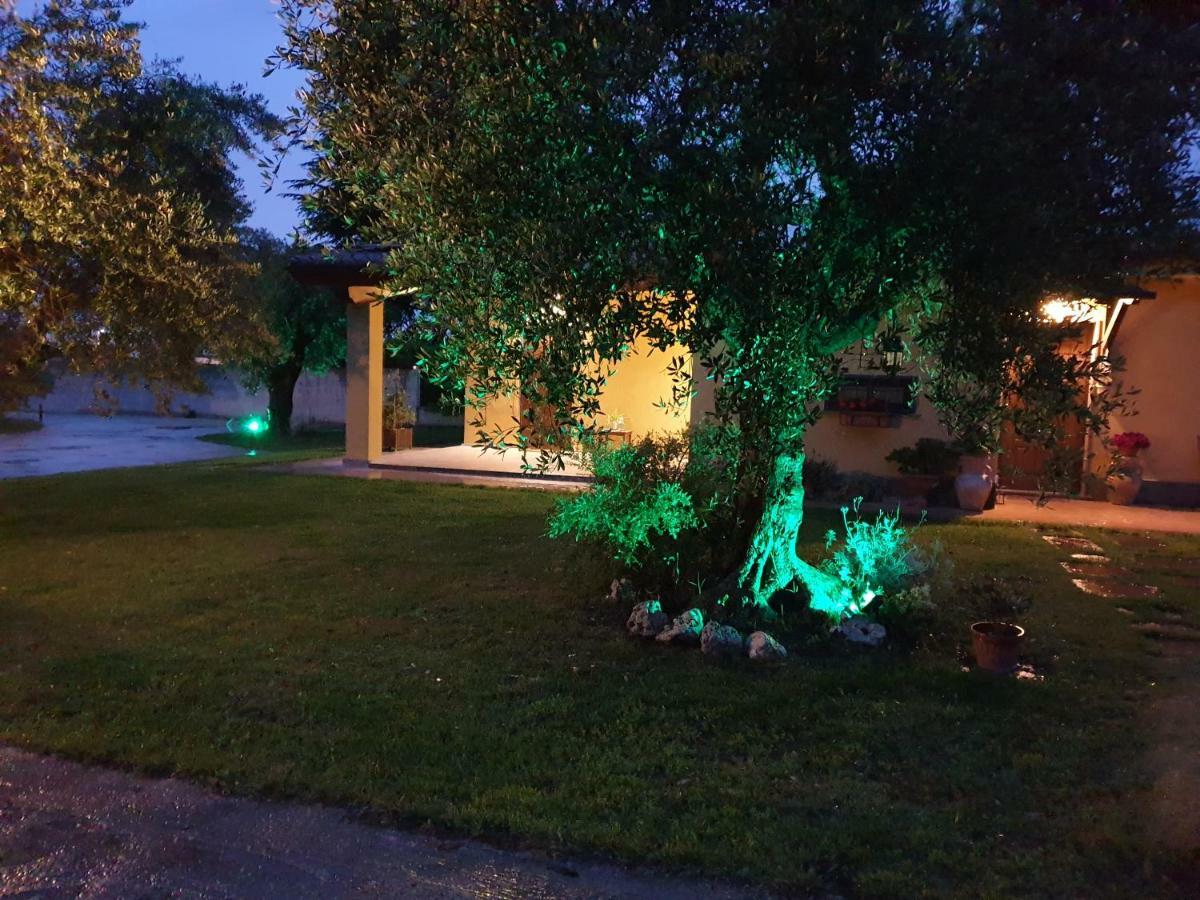 L'Antico Vigneto Hotel Марино Екстериор снимка